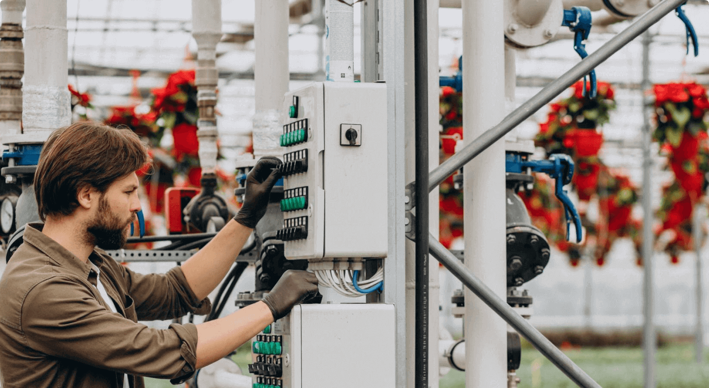 Assessment and Planning